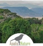 we-are-hiring-communications-officer-apalist-nature