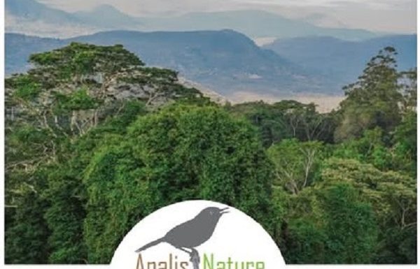 we-are-hiring-communications-officer-apalist-nature